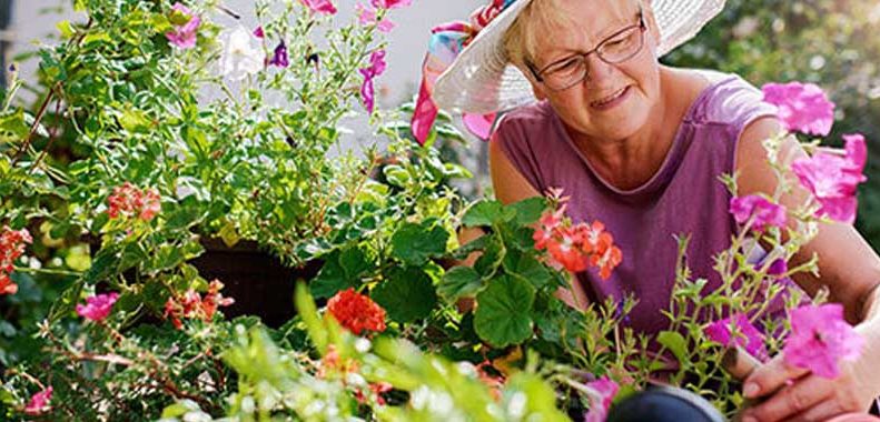 safe senior gardening activities