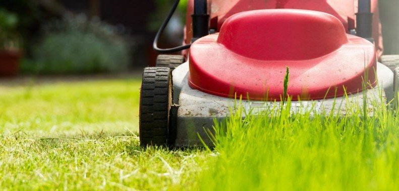 allergic reaction to freshly cut grass