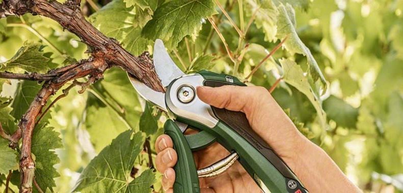 best secateurs for arthritic hands