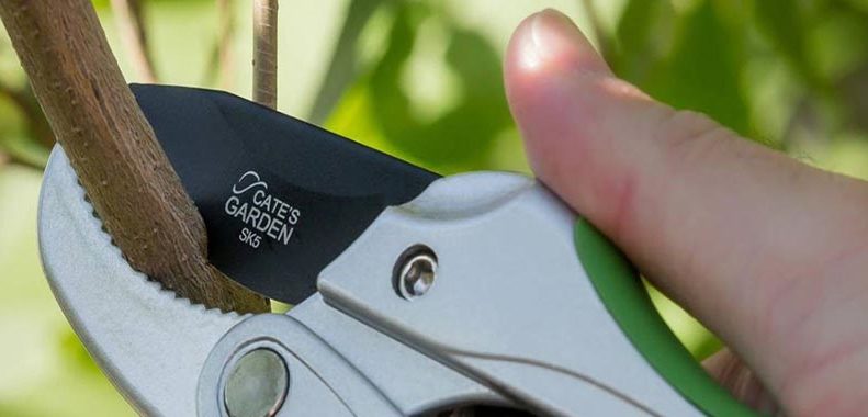 egornomic gardening tools for people with arthritis