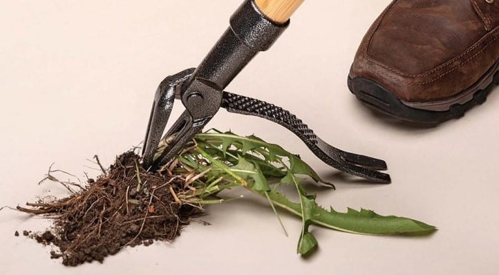 Grampa's Weeder