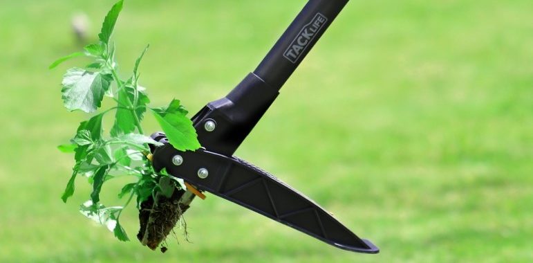 Tacklife Weeder Tool