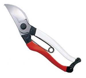 okatsune 101 small bypass secateurs