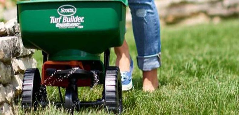 How to Tell if Your Lawn Needs Lime