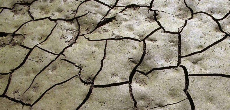 growing a lawn on clay soil