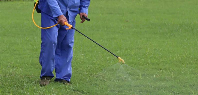 how long does it take atrazine to work