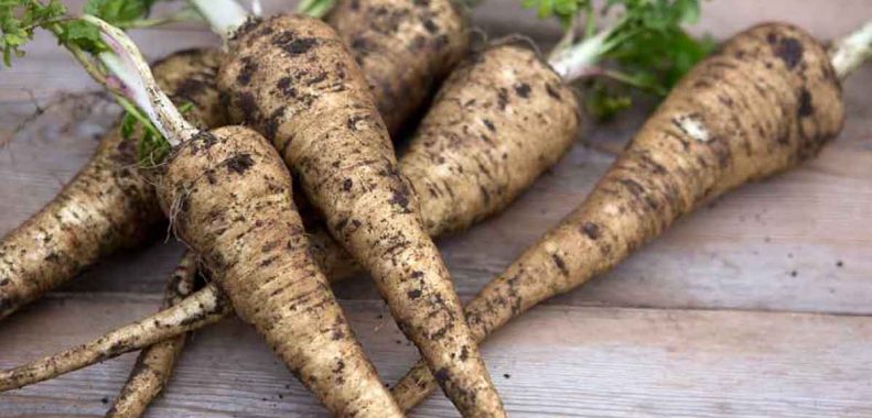 how to store fresh parsnips