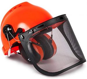 TR Industrial Forestry Safety Helmet and Hearing Protection System