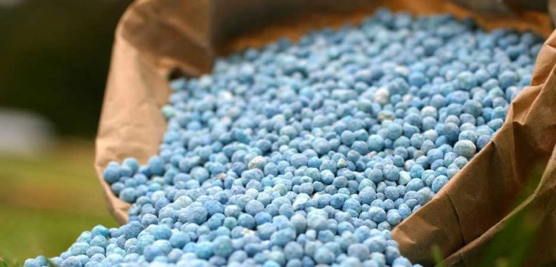 Liquid vs granular fertilizer Which is better