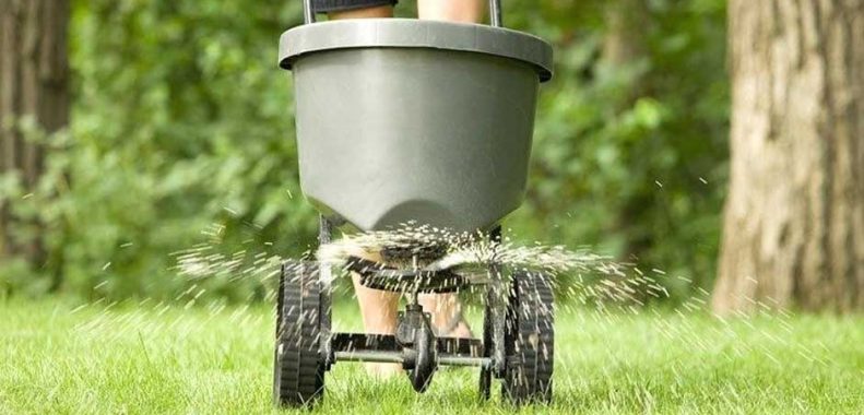 How often should you fertilize your lawn