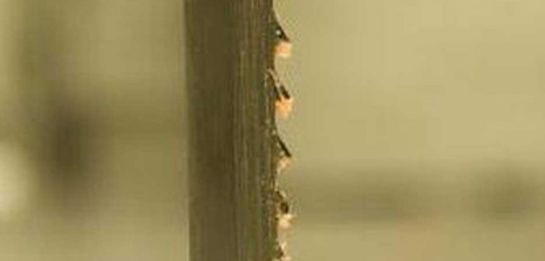 Why does my bandsaw blade wander