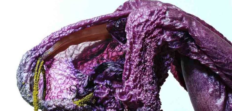 How to keep lilacs from wilting when cut