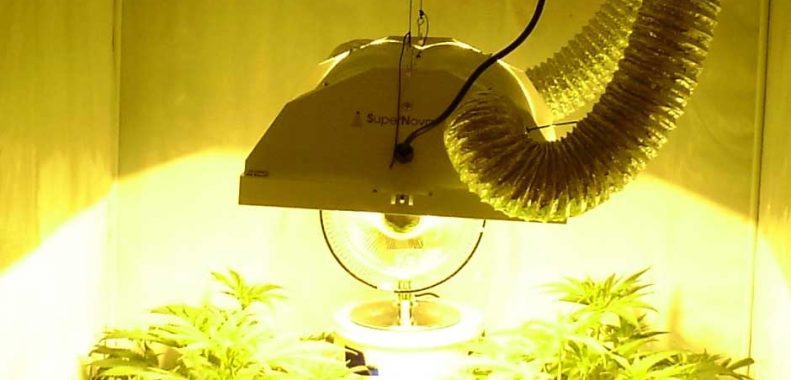 Best HPS grow lights