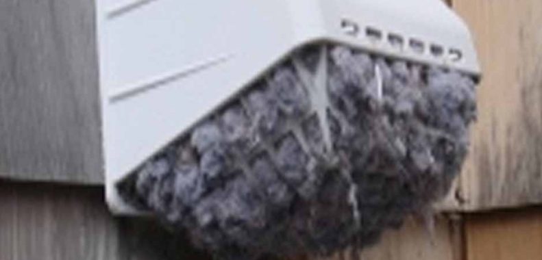 How to clean dryer vent with a leaf blower