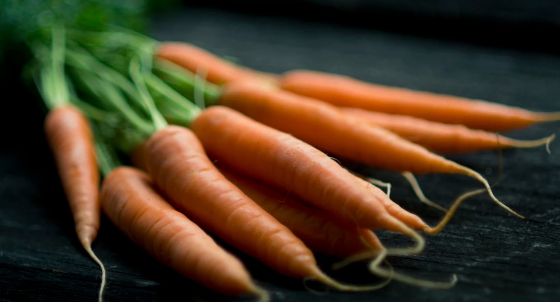 growing carrots on the balcony