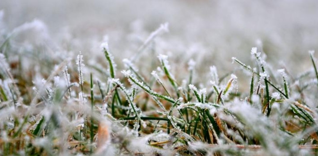 How to Winterize Sprinkler Systems