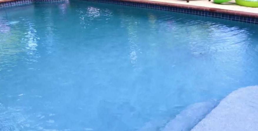 best swimming pool algaecide
