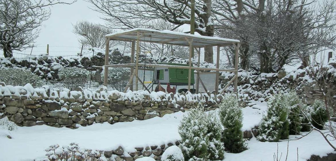 how to winterize a chicken coop