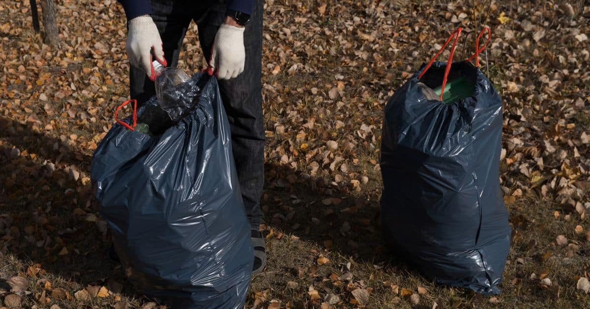 Clean Berries From Your Yard