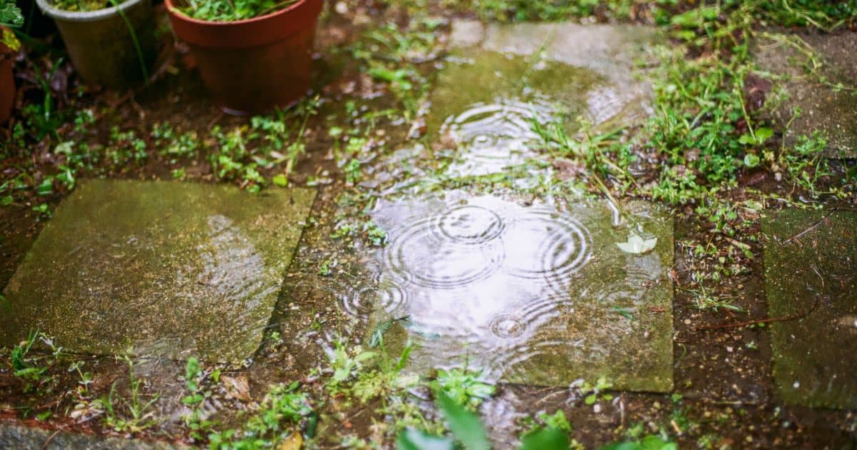 How to Drain Washing Machine Water Into a Yard