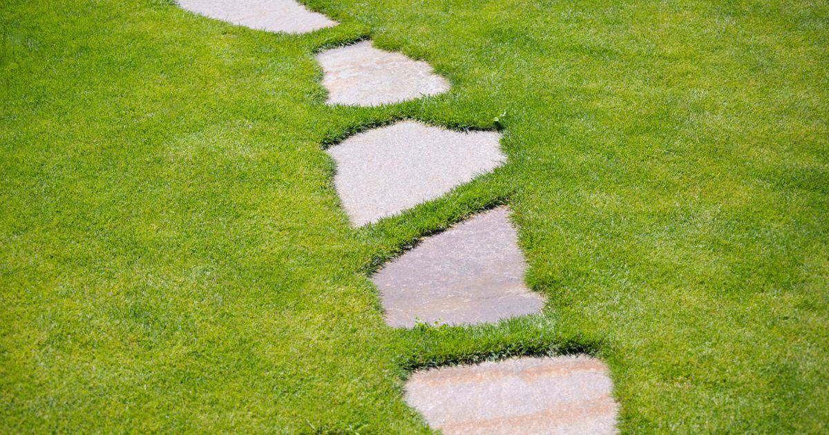 How to Grow Grass in Stone Yard