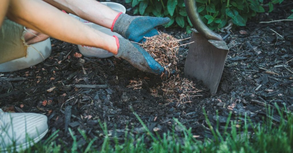 How to Remove Mulch From Yard Yard Work HQ