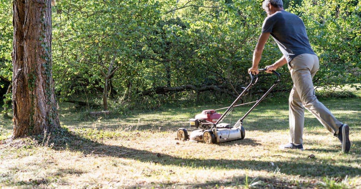 Remove Old Wild Grass in Front Yard