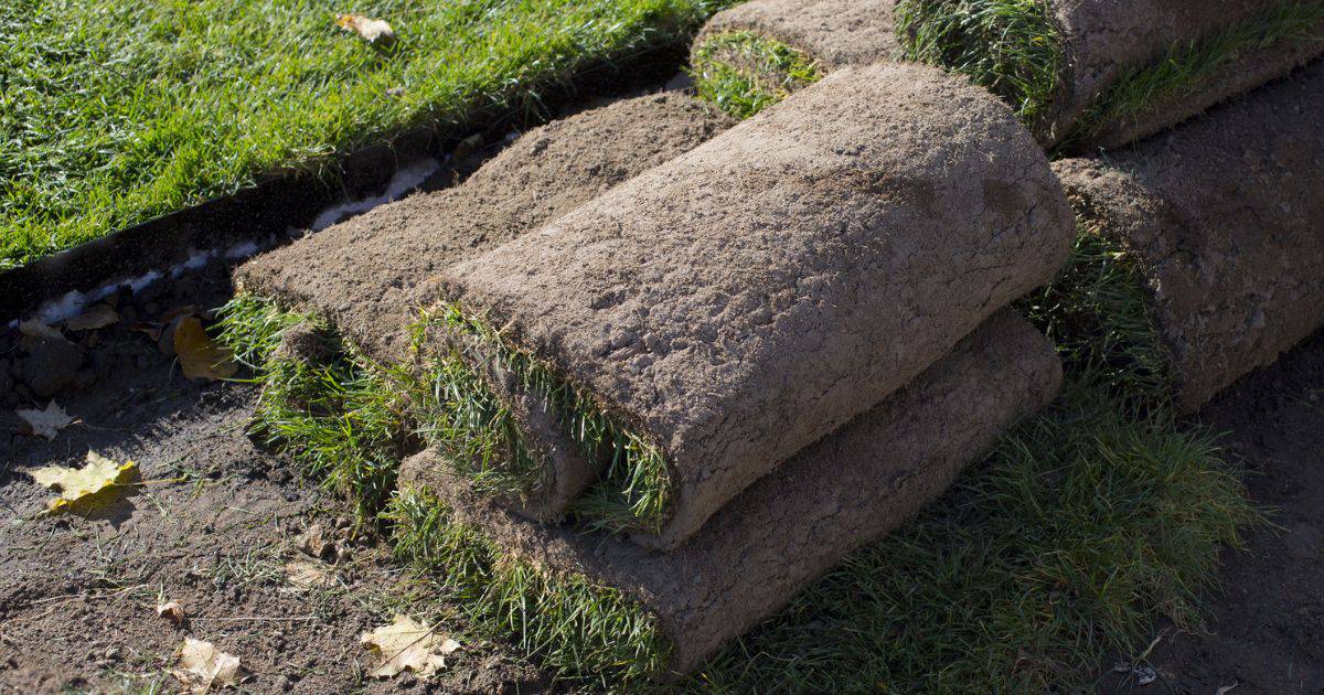 Stop Erosion in Your Yard