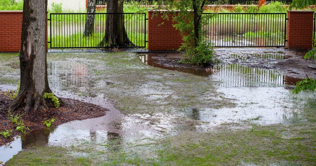 How to Stop My Backyard From Flooding When It Rains Yard Work HQ