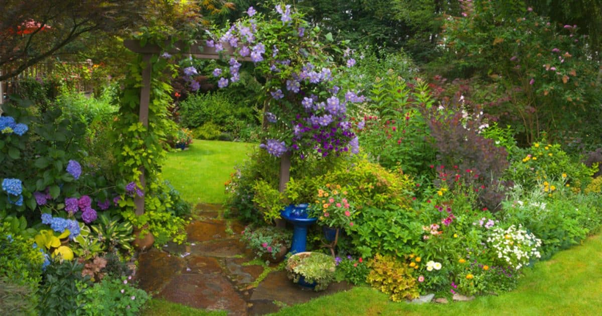 Turn Your Backyard Into a Flower Garden